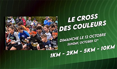 Step #5 - Le Cross des couleurs 2025