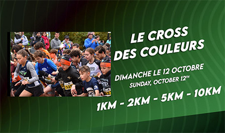 The Cross des couleurs